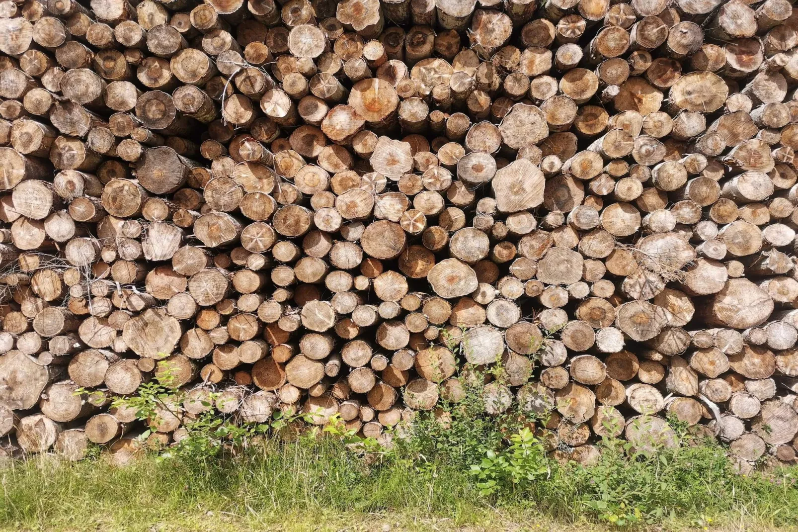 6 persoons vakantie huis in Hadsund-By Traum-Niet-getagd