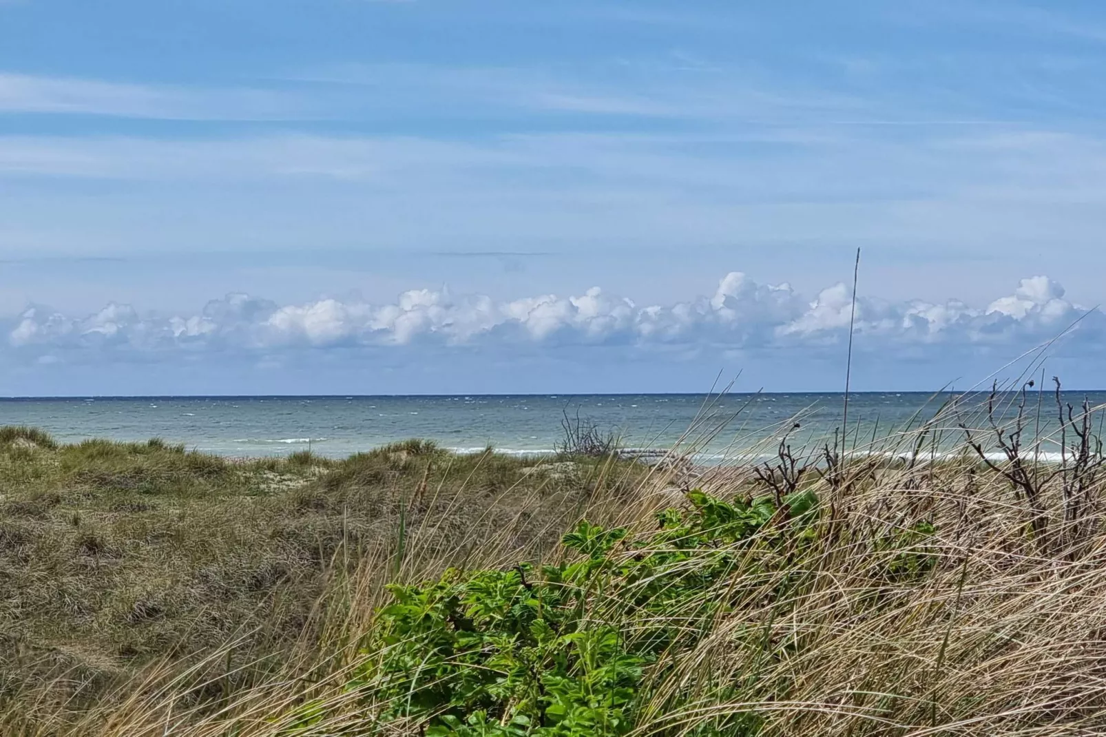 Afgelegen paradijs in Thorup -- By Traum Ferienwohnungen-Waterzicht