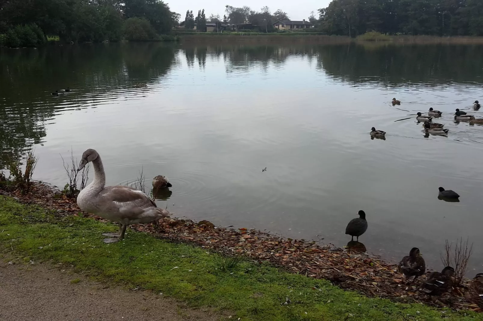 Panoramisch toevluchtsoord met Spa-Waterzicht