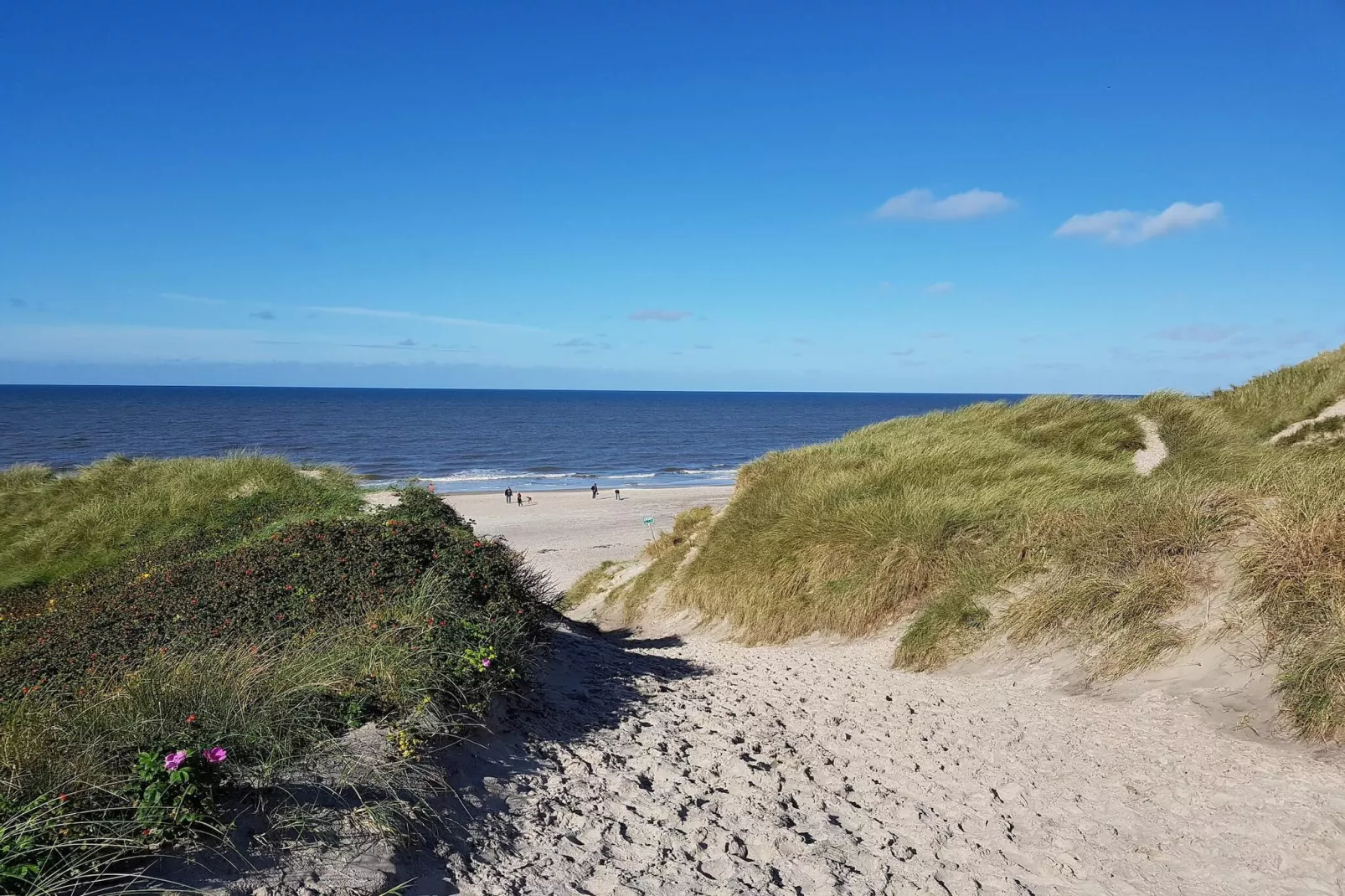 8 persoons vakantiehuis in Ringkøbing-Waterzicht