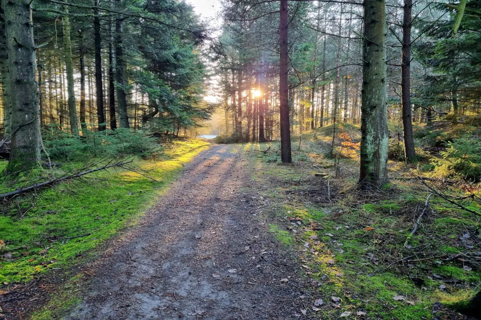 6 persoons vakantie huis in Pandrup-Niet-getagd