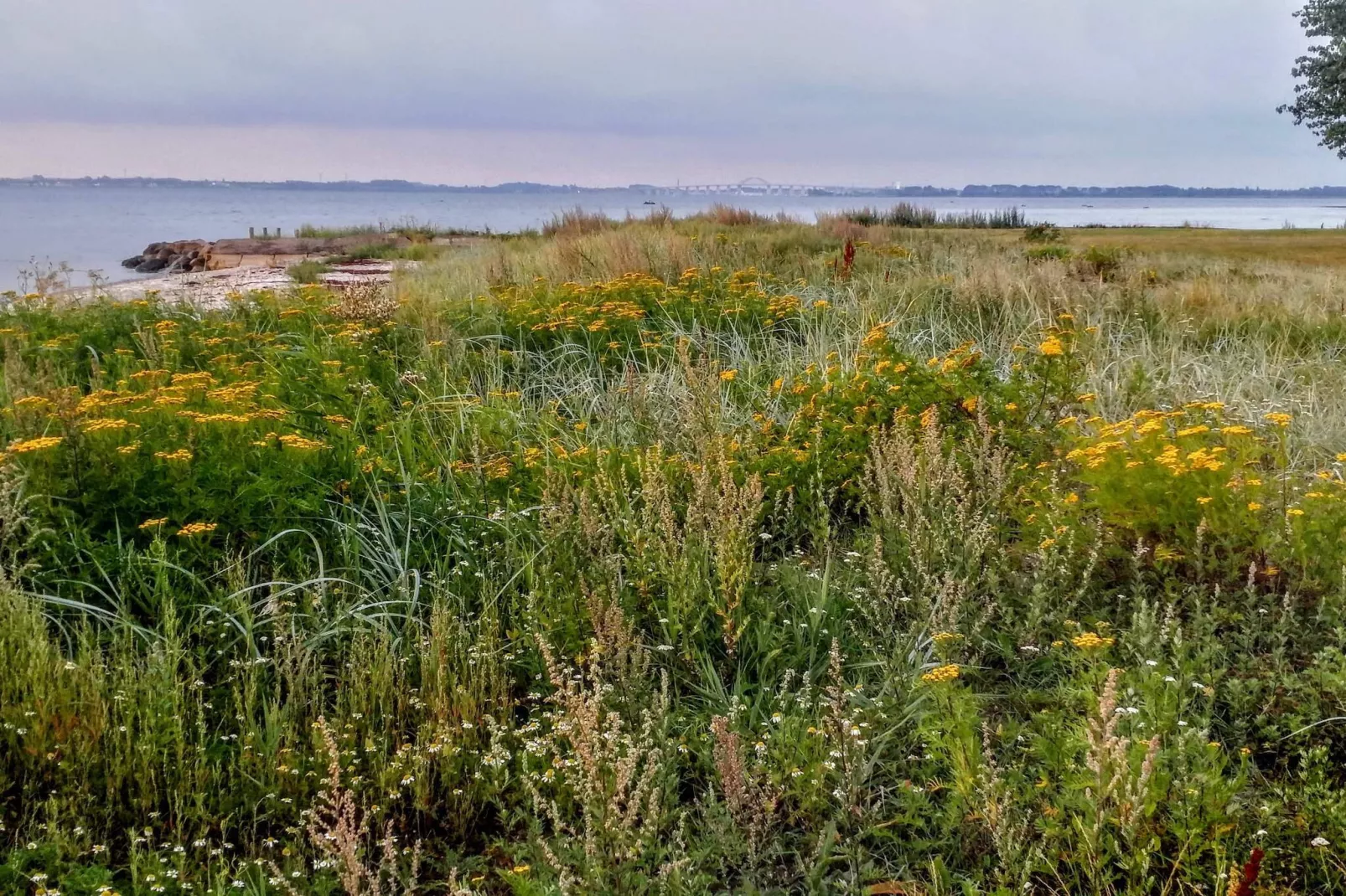 7 persoons vakantie huis in Svendborg-By Traum-Waterzicht