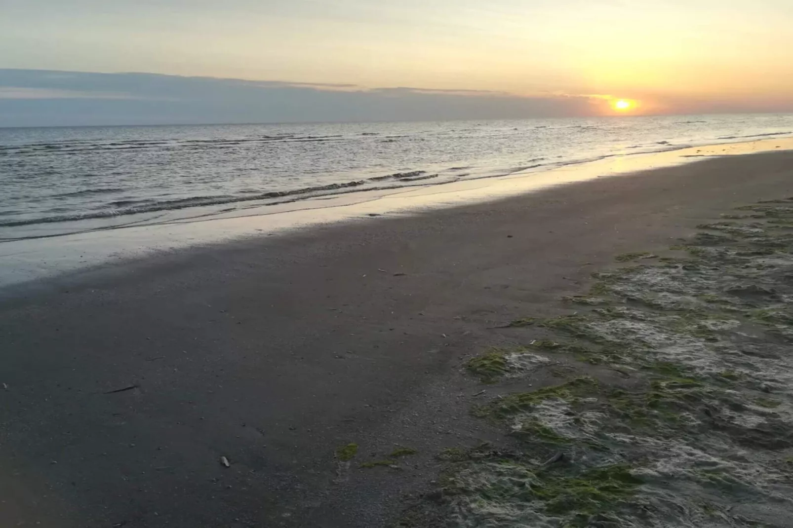 Rustig toevluchtsoord nabij strand -- By Traum Ferienwohnungen-Waterzicht