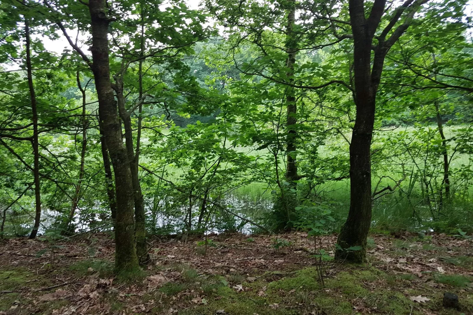 6 persoons vakantie huis in Toftlund-By Traum-Niet-getagd