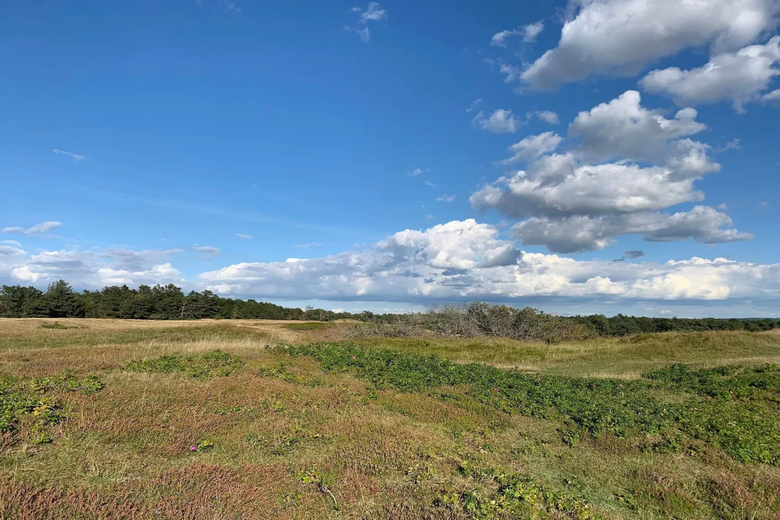 5 persoons vakantie huis in Vejby-By Traum-Niet-getagd