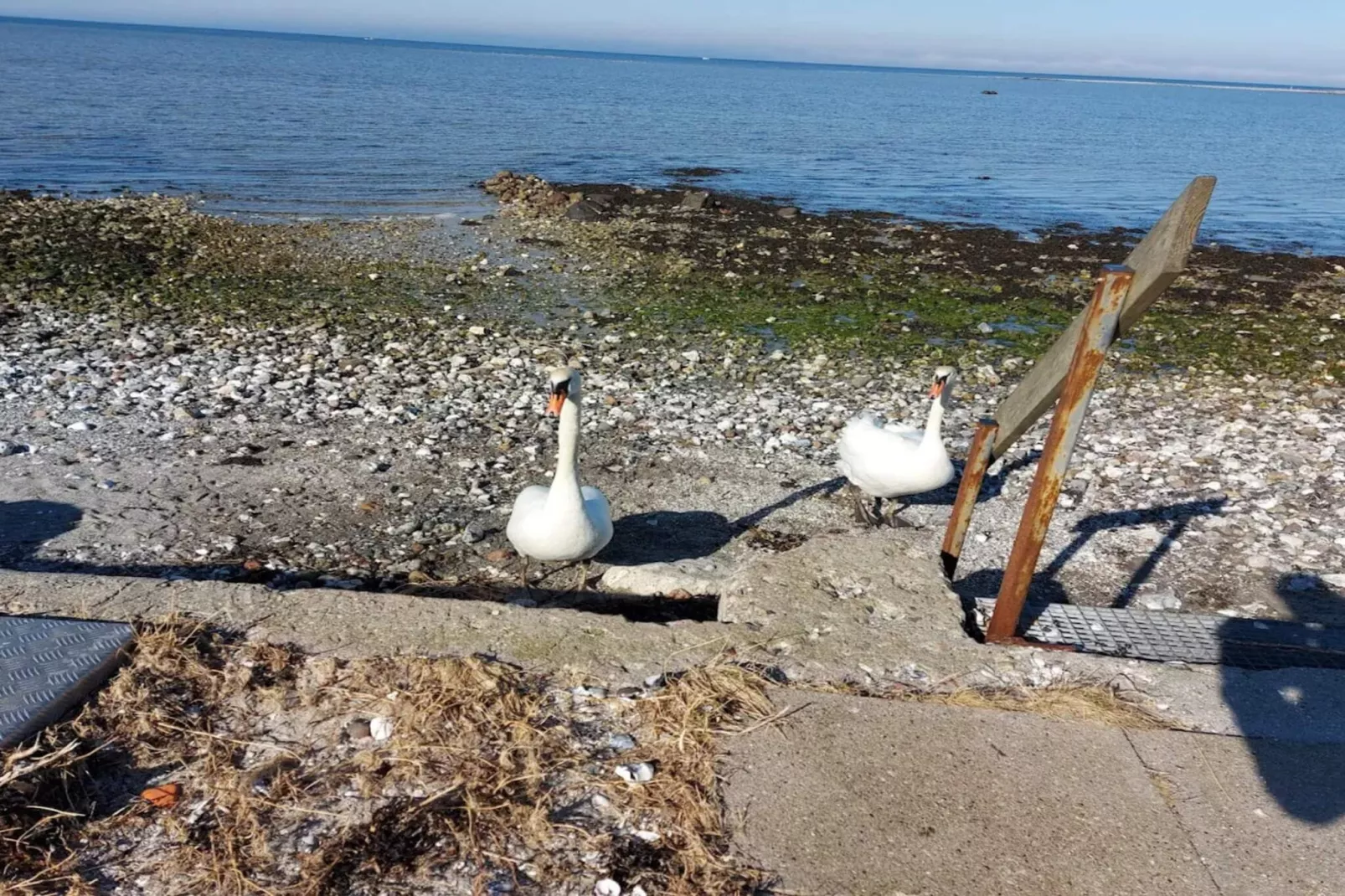 Luxe retraite met zwembad -- By Traum Ferienwohnungen-Waterzicht