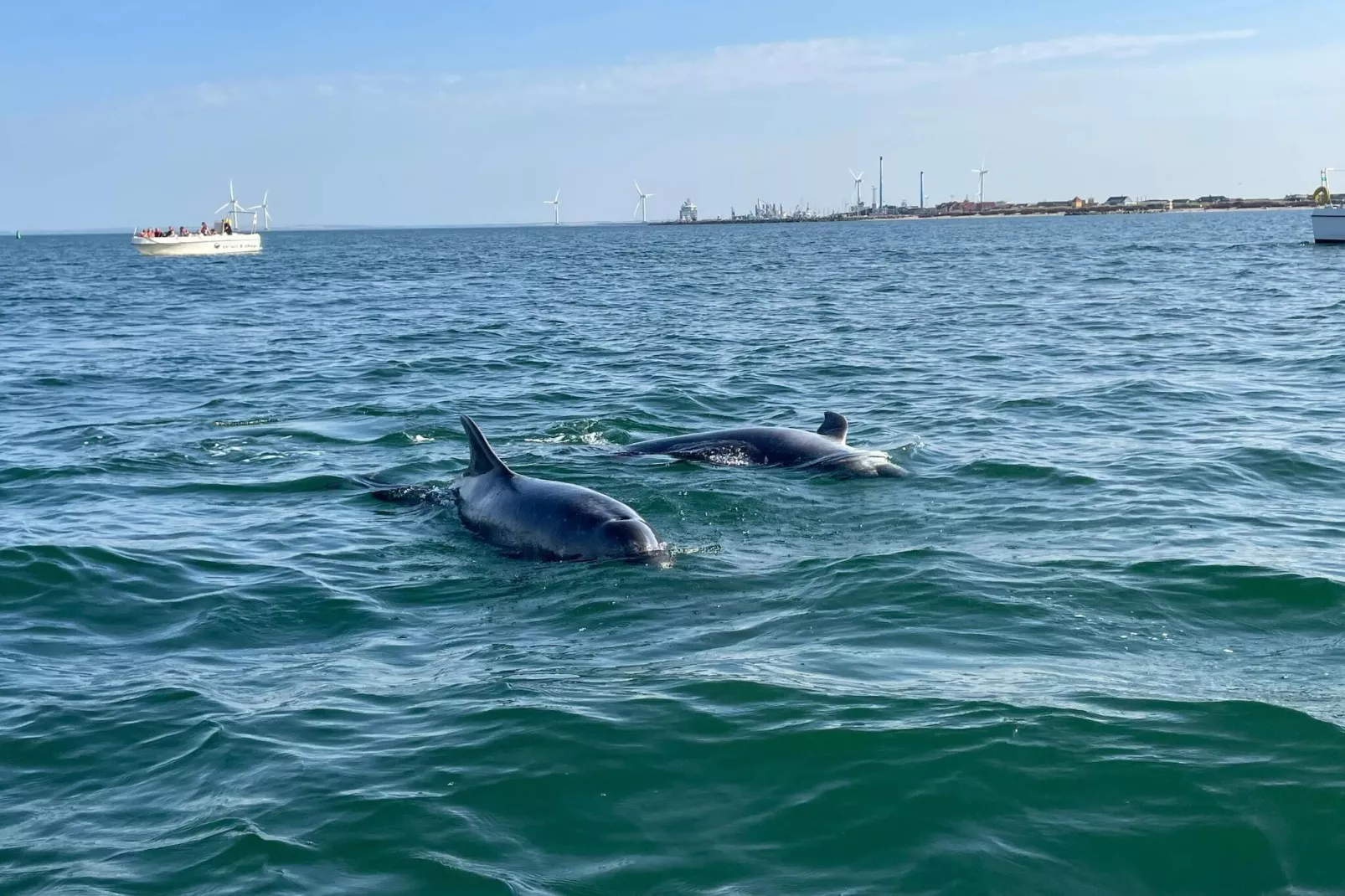 6 persoons vakantie huis in Thyborøn-By Traum-Waterzicht