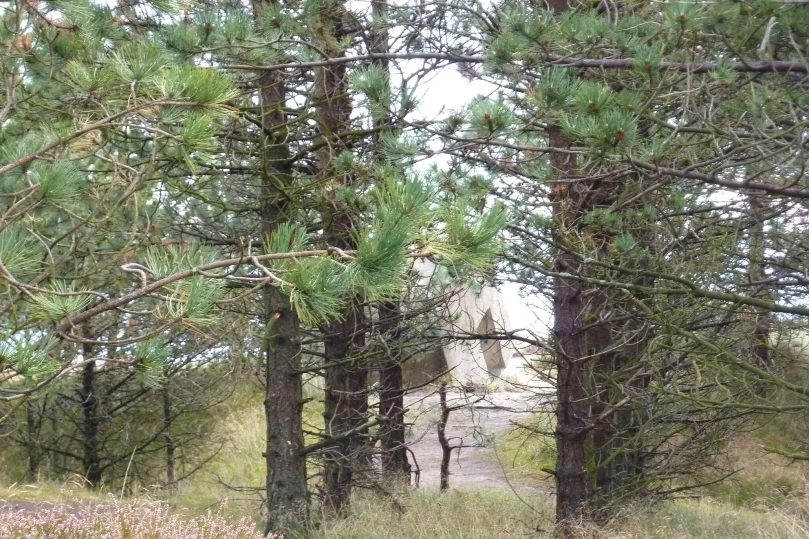 6 persoons vakantie huis in Rømø-By Traum-Niet-getagd