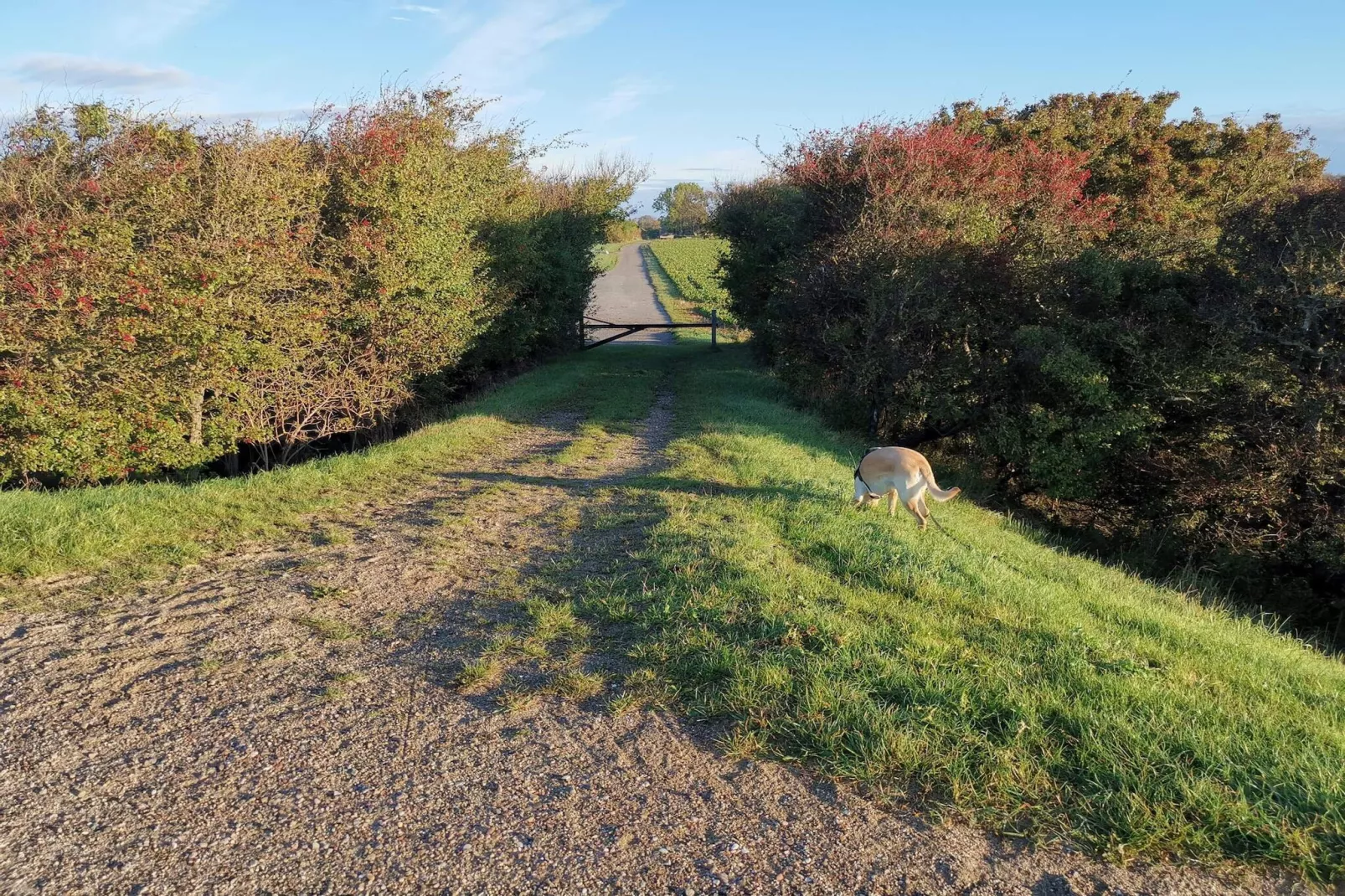 8 persoons vakantie huis in Dannemare-Niet-getagd