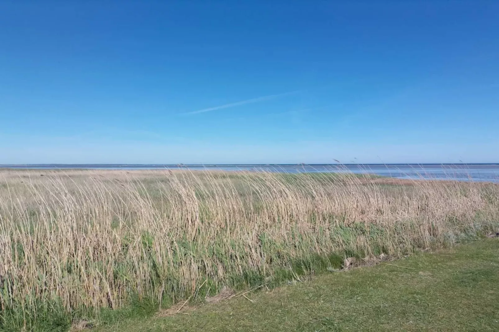 8 persoons vakantie huis in Ørsted-By Traum-Waterzicht