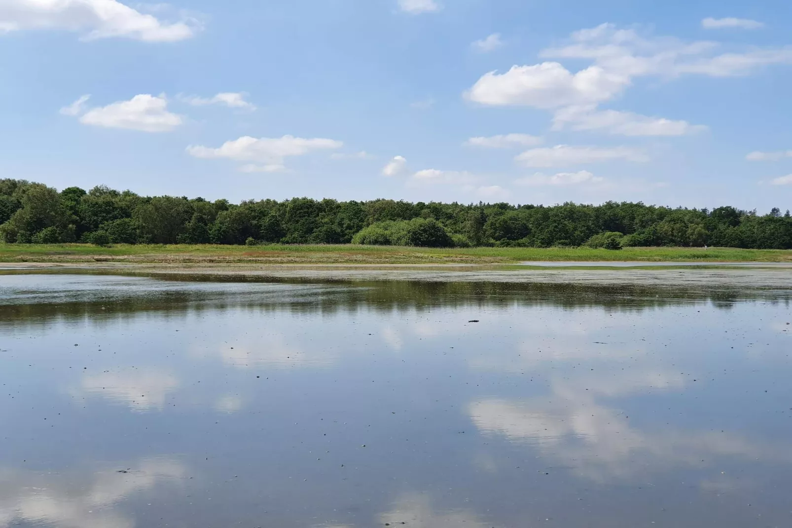 Rustige oase met zwembad -- By Traum Ferienwohnungen-Waterzicht