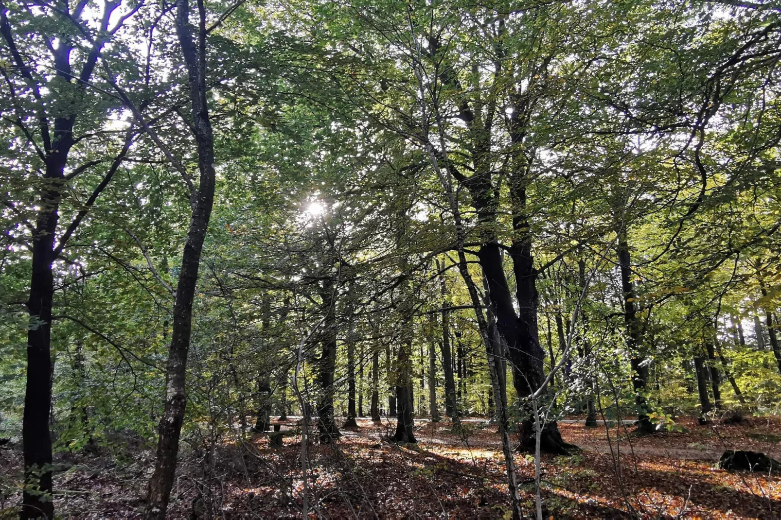 4 persoons vakantie huis in Henne-By Traum-Niet-getagd