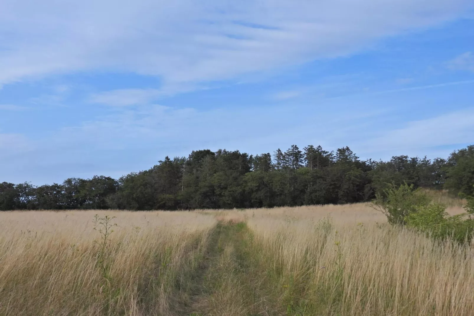 Modern toevluchtsoord bij strand -- By Traum Ferienwohnungen-Niet-getagd