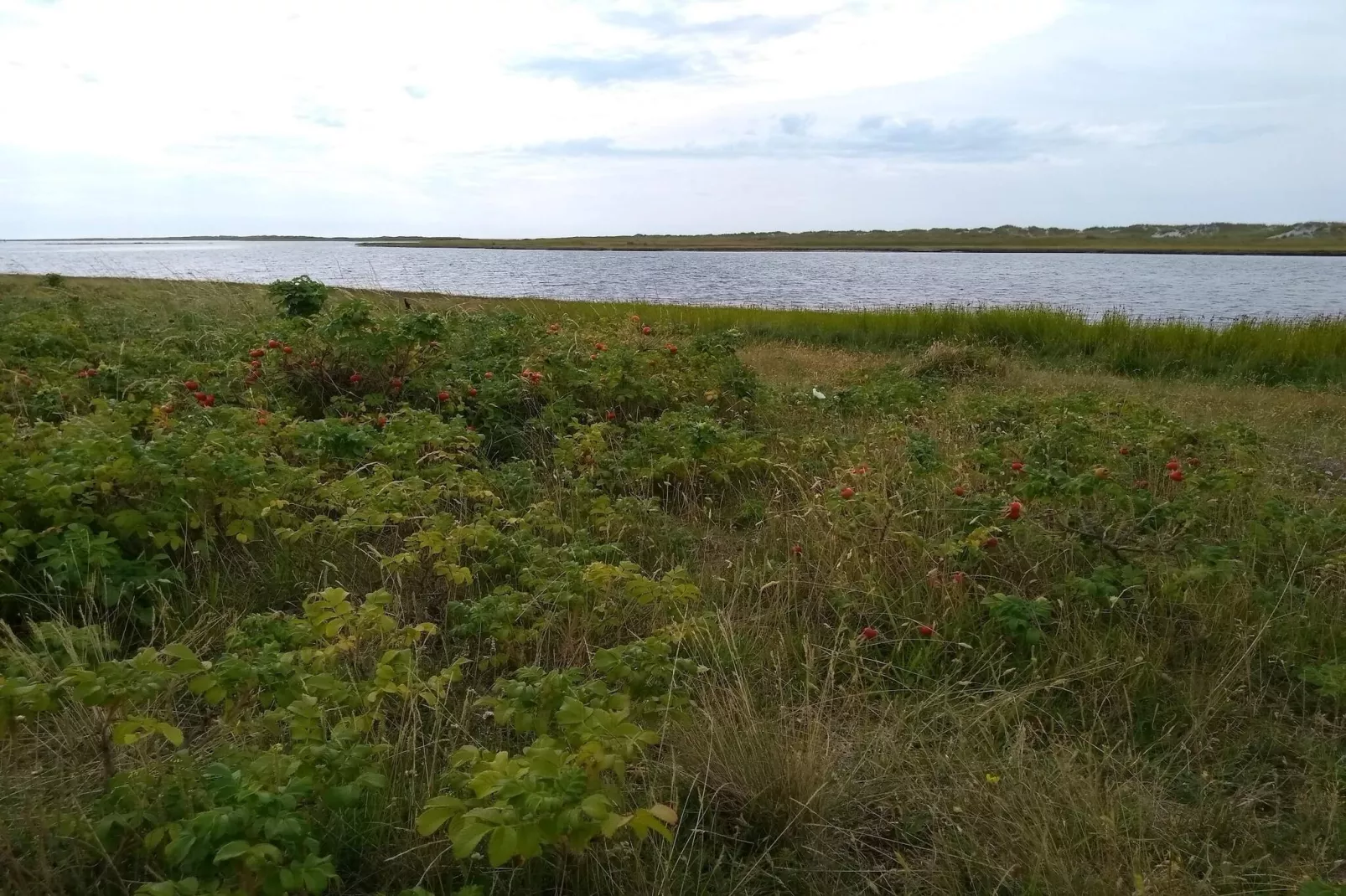 Kust ontsnapping in Laeso -- By Traum Ferienwohnungen-Waterzicht