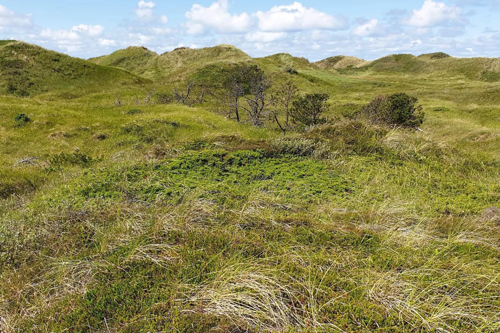 8 persoons vakantie huis in Pandrup-By Traum-Niet-getagd