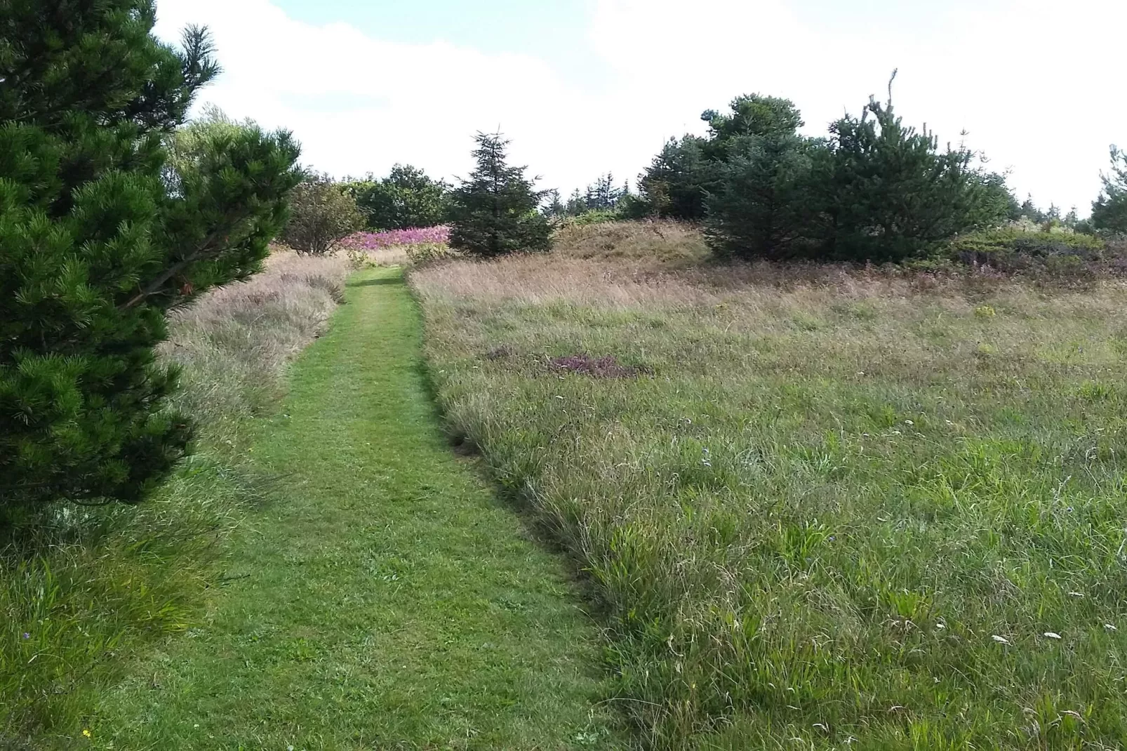 6 persoons vakantie huis in Fjerritslev-By Traum-Niet-getagd