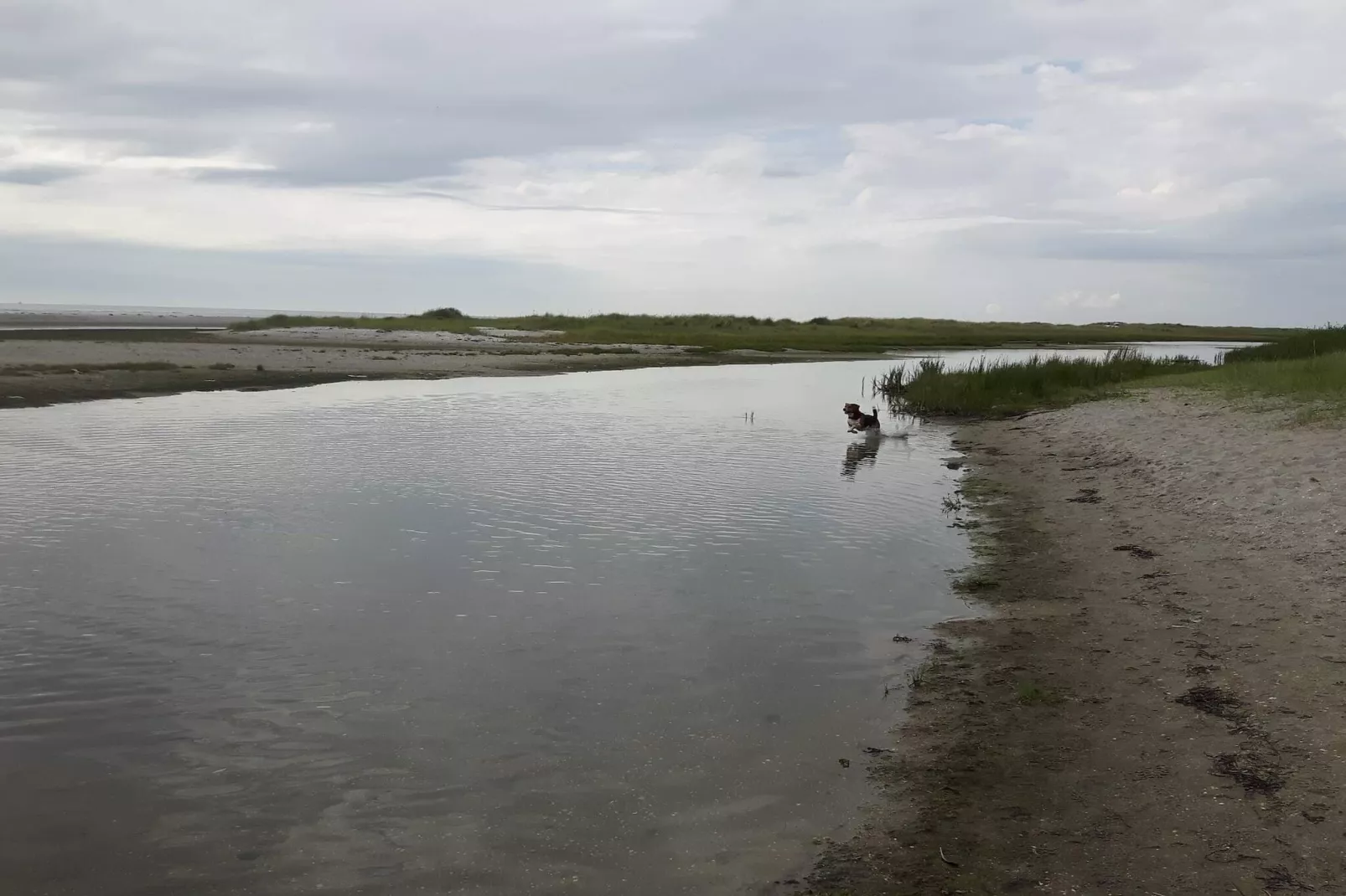 Rustig toevluchtsoord nabij strand -- By Traum Ferienwohnungen-Waterzicht