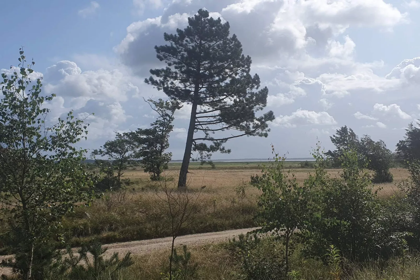 4 persoons vakantie huis in Oksbøl-By Traum-Niet-getagd