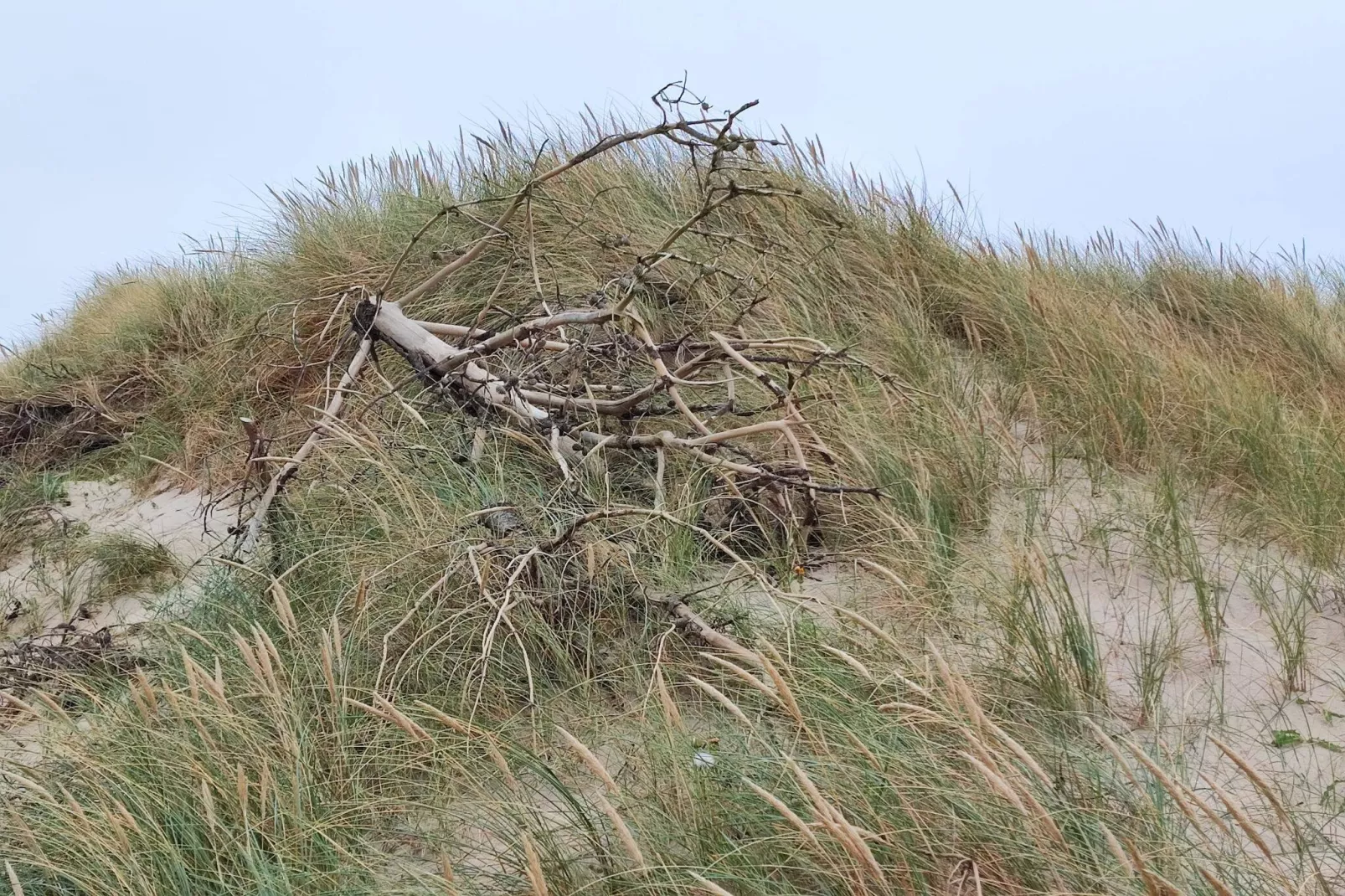 6 persoons vakantie huis in Skibby-By Traum-Niet-getagd