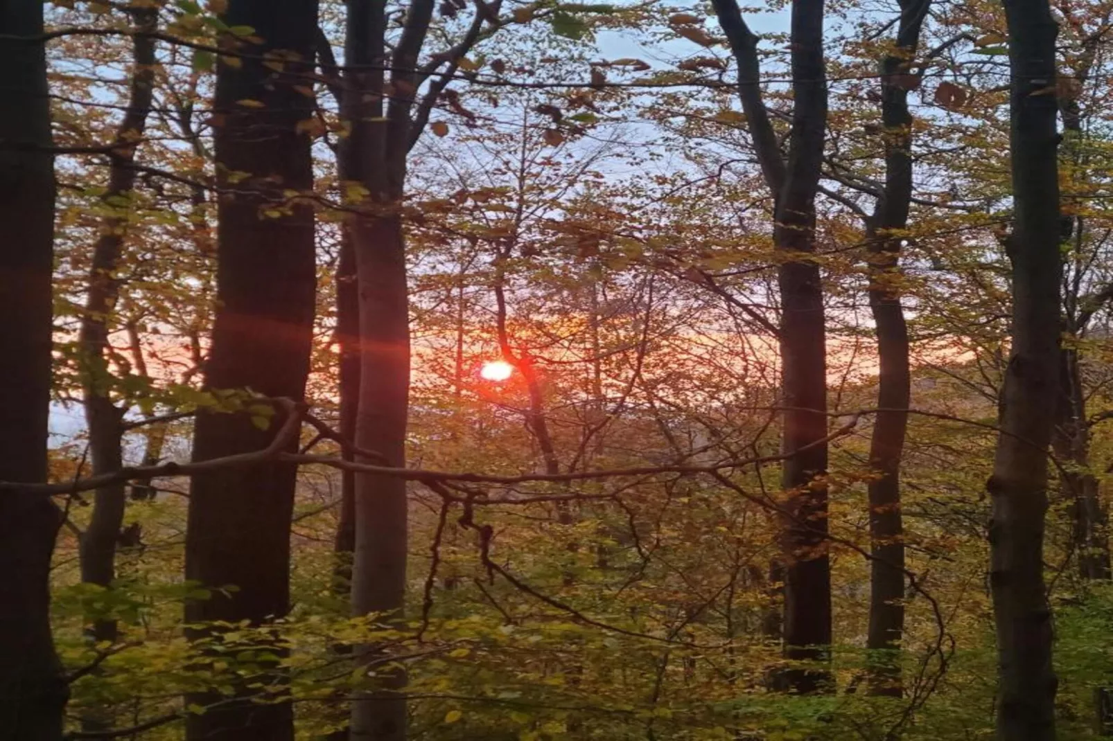 Weserbergland - Bad Pyrmont-Gebieden zomer 20km