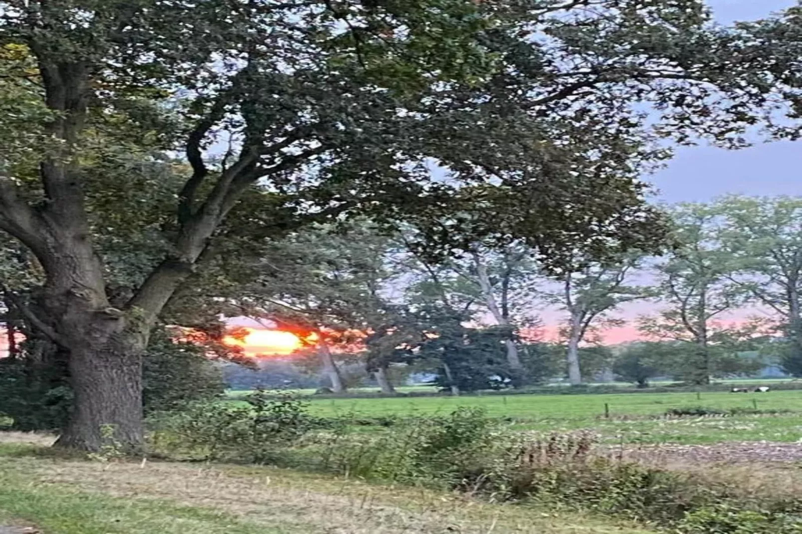 Vakantiepark De Lochemse Berg 2-Gebieden zomer 20km