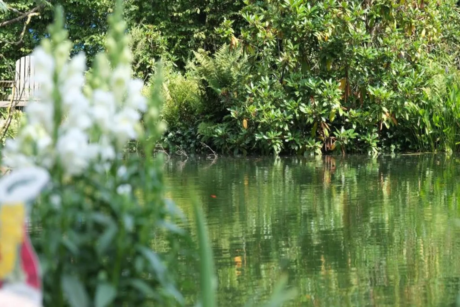 Bospark Markelo 7-Gebieden zomer 20km