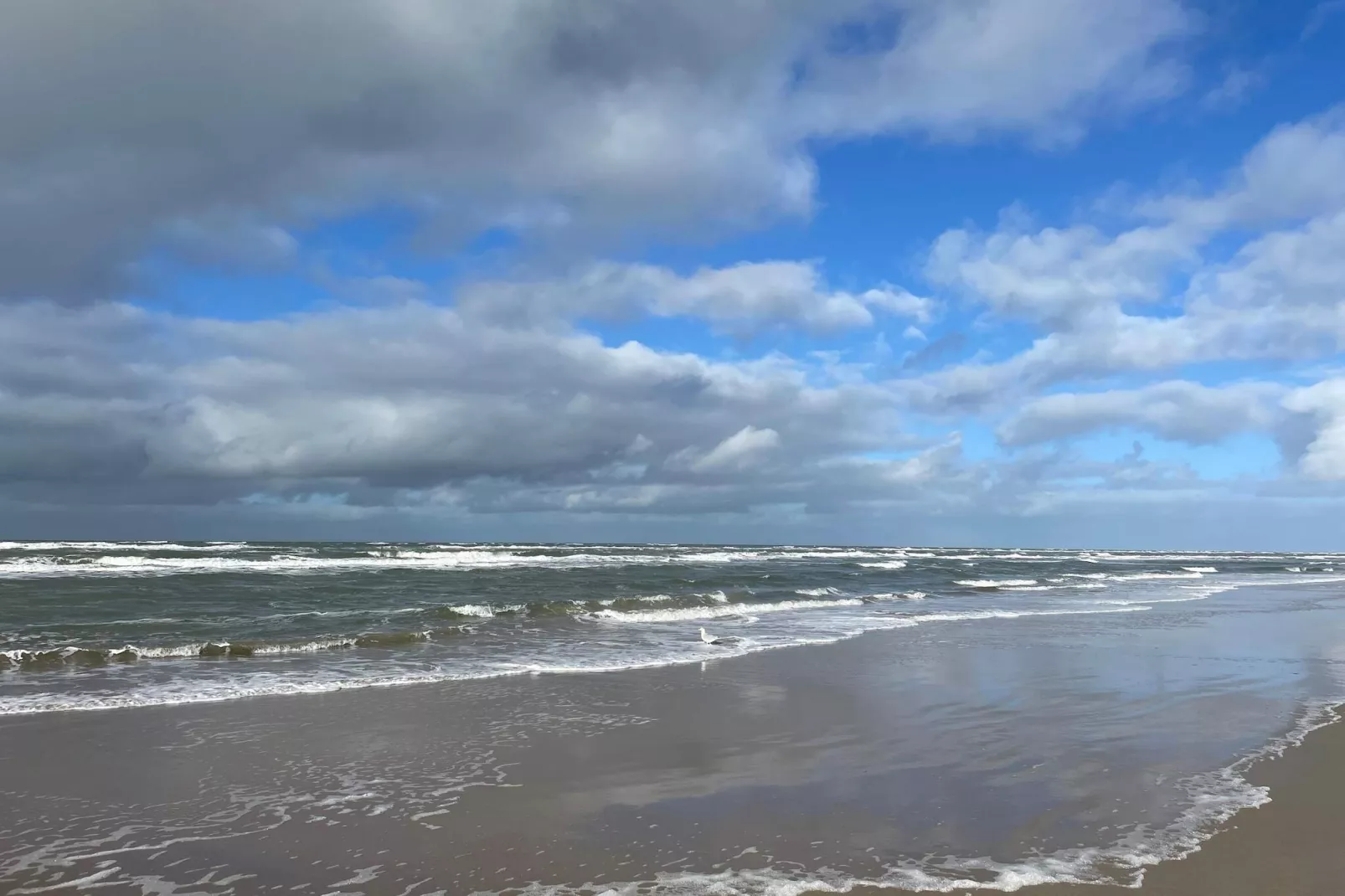 10 persoons vakantie huis in Oksbøl-By Traum-Waterzicht