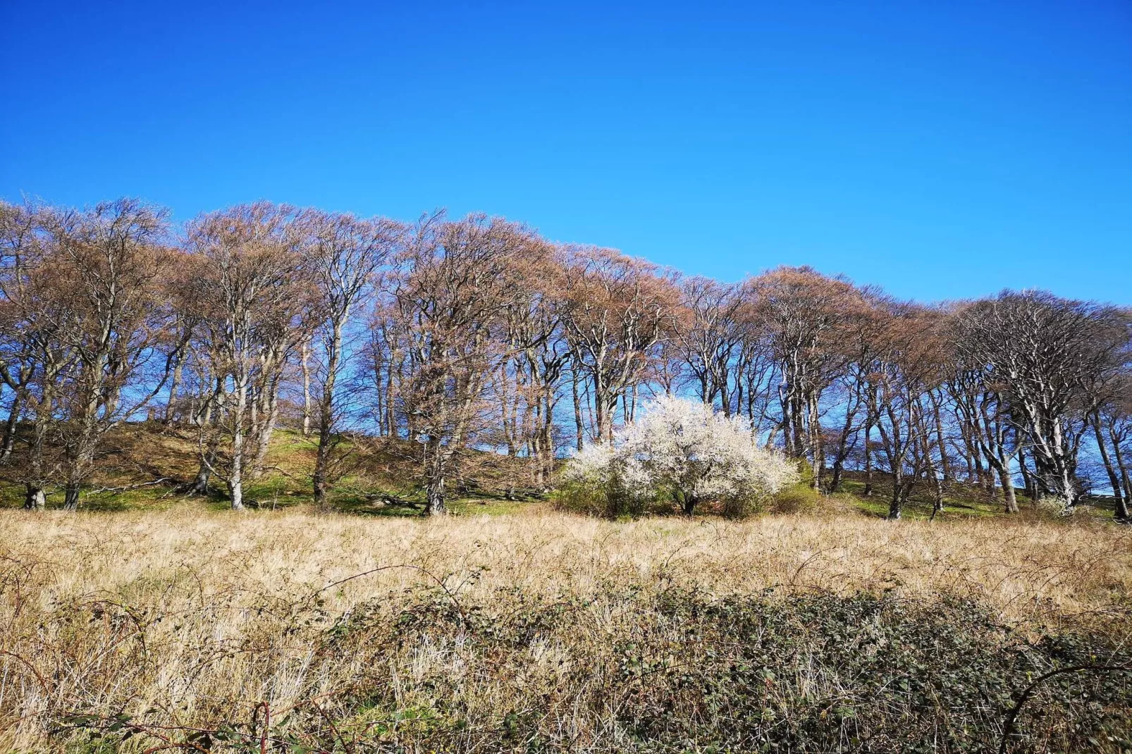 Sfeervol Vissershuisje -- By Traum Ferienwohnungen-Niet-getagd