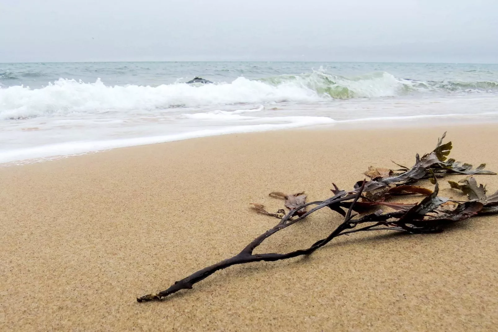 5 persoons vakantie huis in Gilleleje-By Traum-Waterzicht