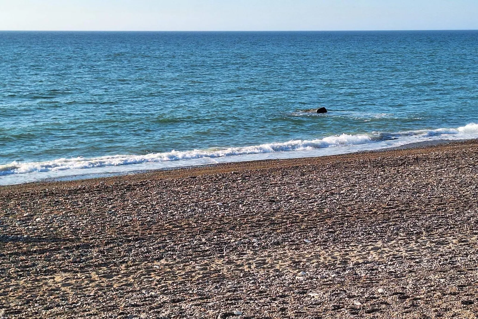 4 persoons vakantie huis in Frøstrup-Waterzicht