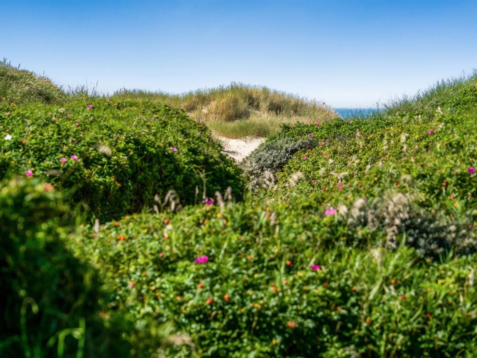 "Rutha" - 45m from the sea-Buiten