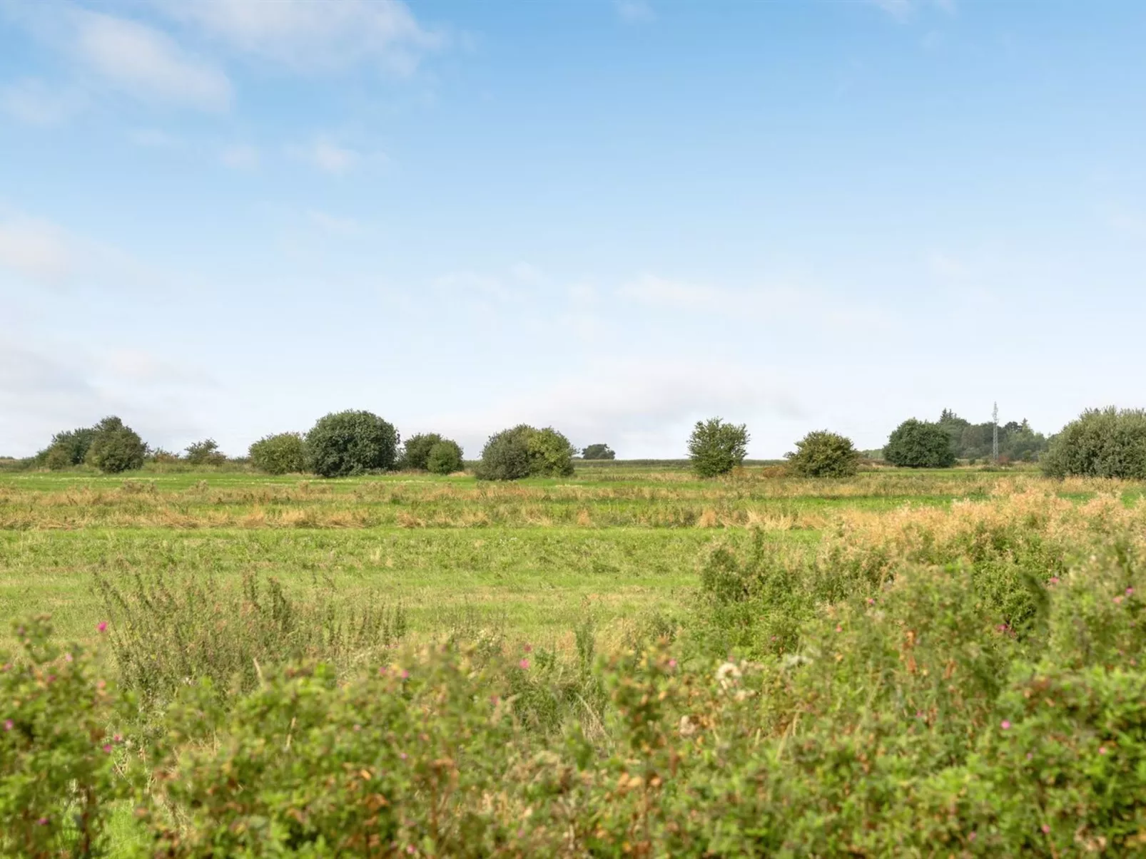 "Ewelina" - 15km from the sea-Buiten