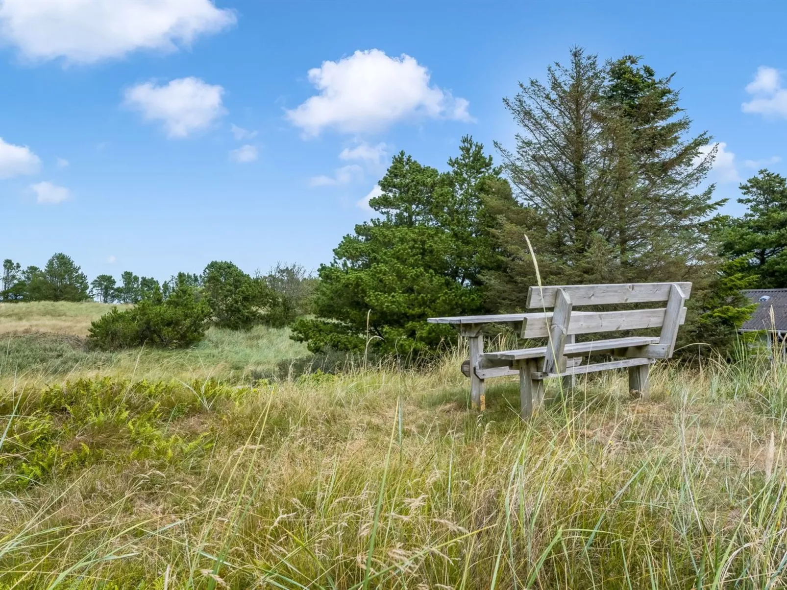 "Mila" - 750m from the sea-Buiten