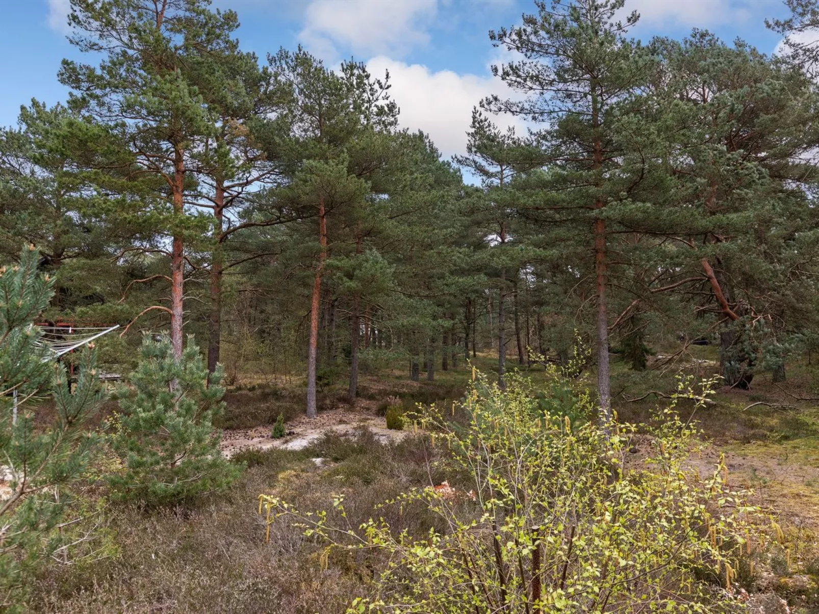 "Ømunde" - 150m from the sea-Buiten