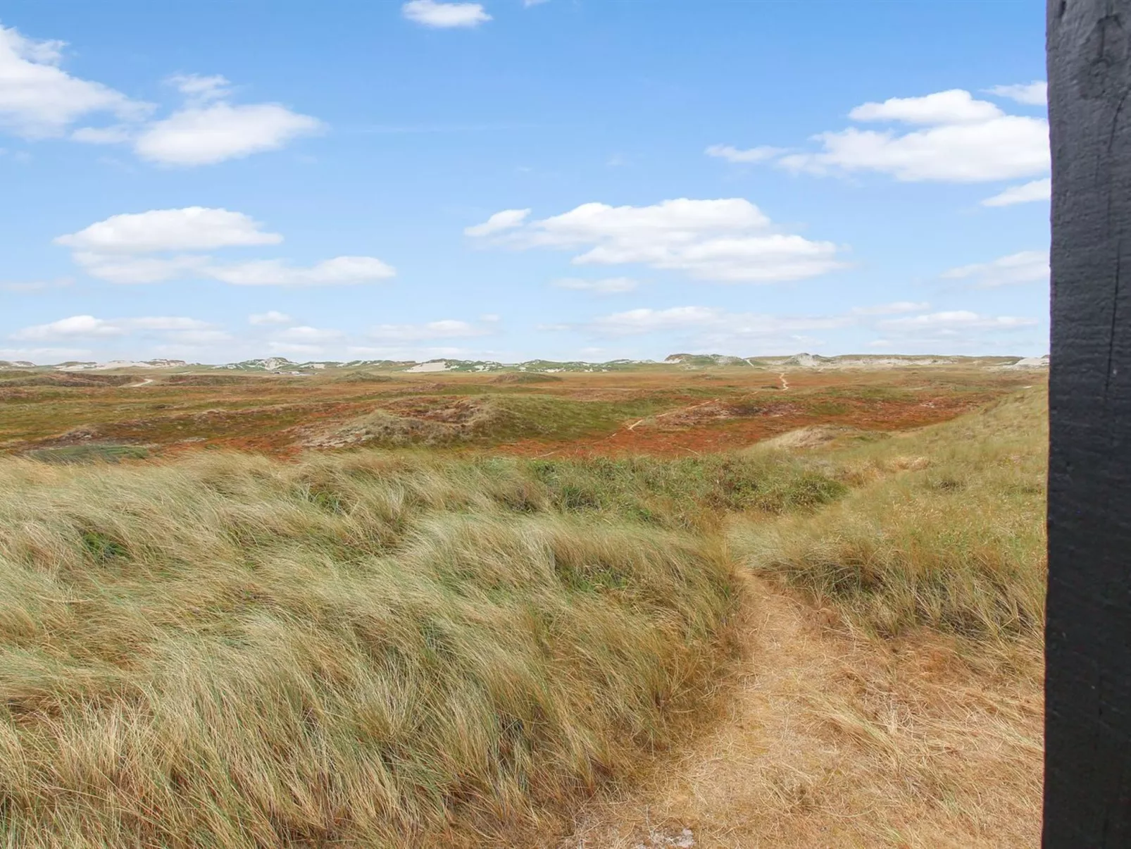 "Swanja" -  from the sea-Buiten