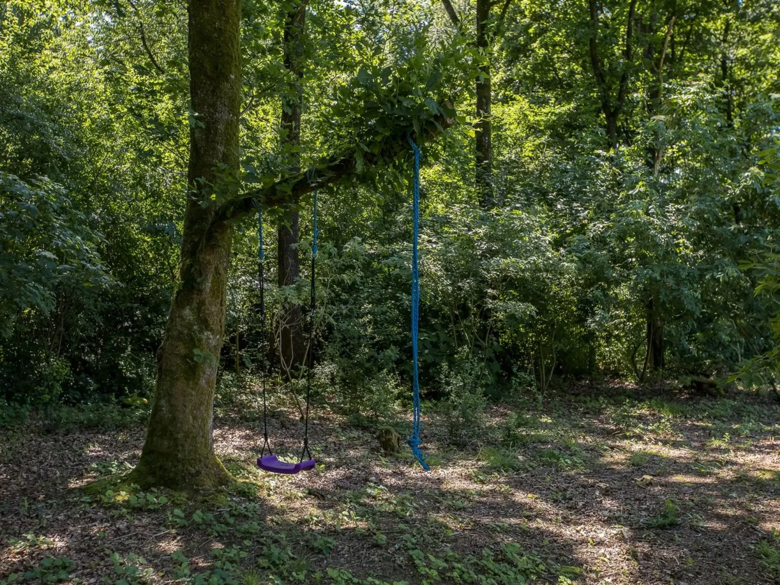 "Eryka" - 28km from the sea-Buiten