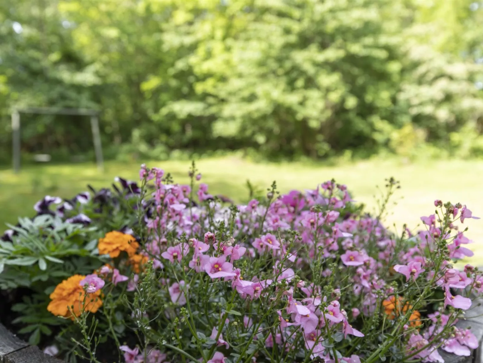 "Friis" - 200m from the sea-Buiten