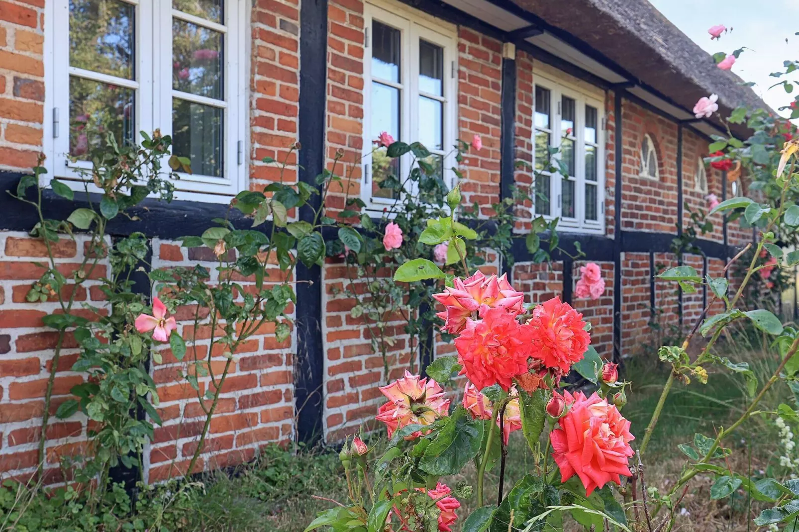6 persoons vakantie huis in Guldborg-By Traum-Uitzicht