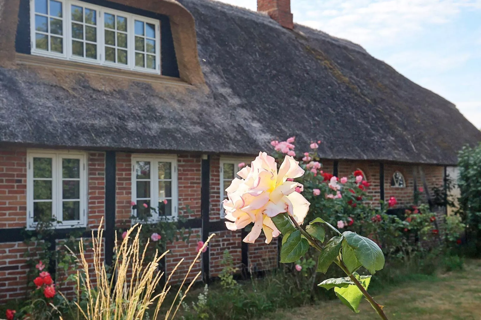 6 persoons vakantie huis in Guldborg-By Traum-Uitzicht