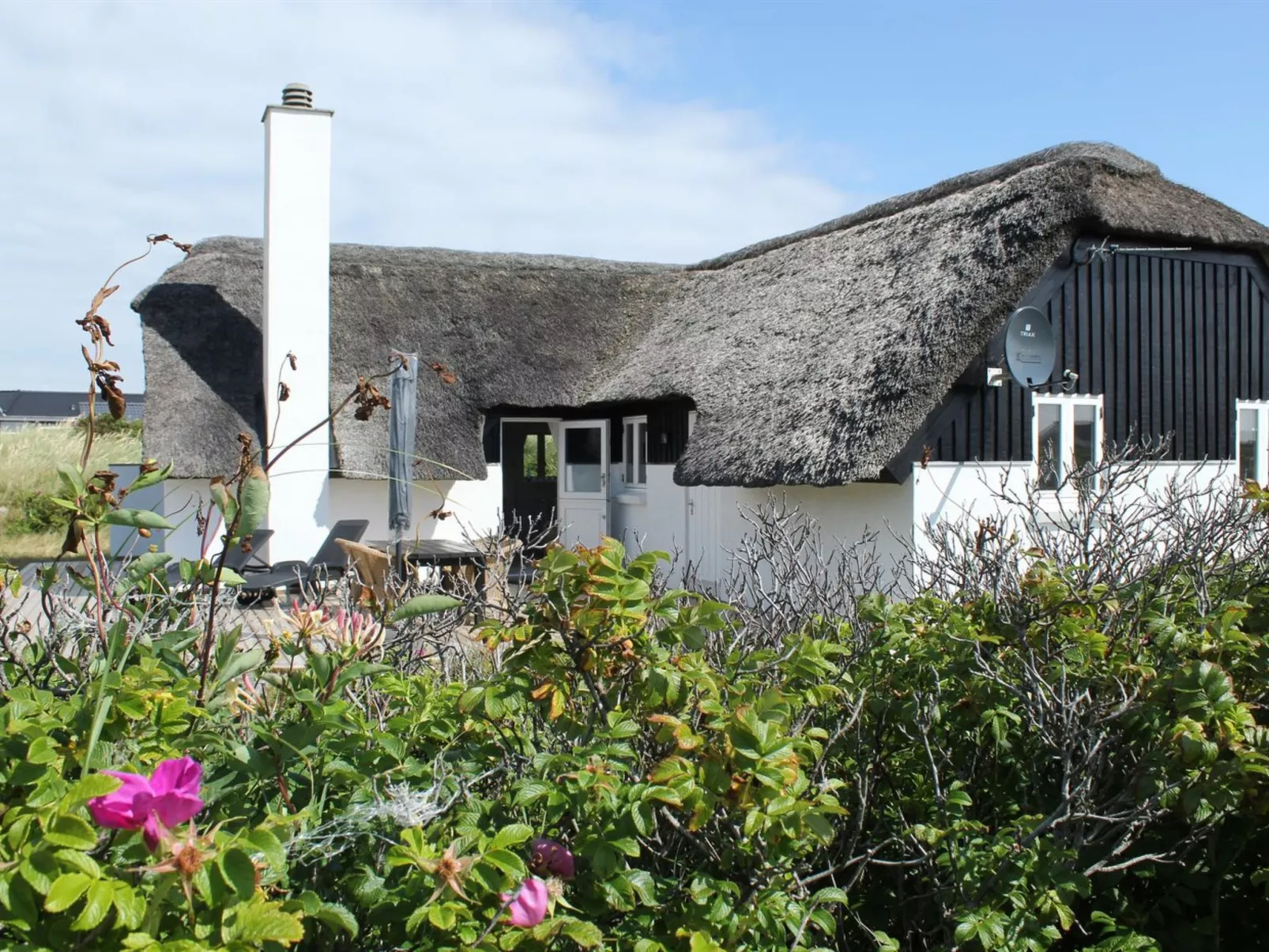 "Annielle" -  from the sea-Buiten