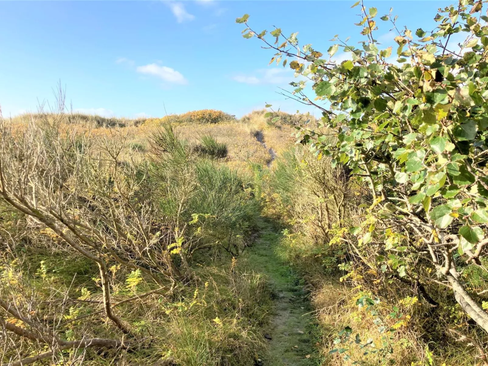 "Osa" - 150m from the sea-Buiten