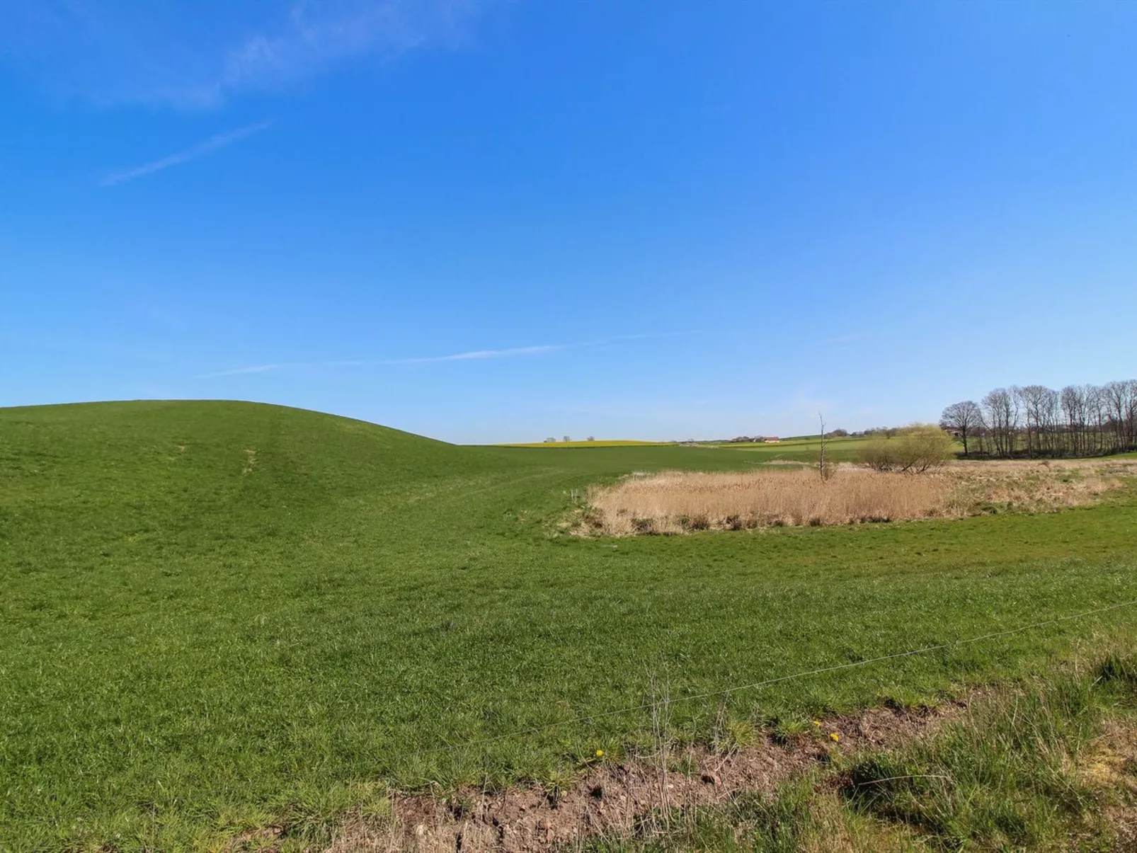 "Raafael" - 175m from the sea-Buiten