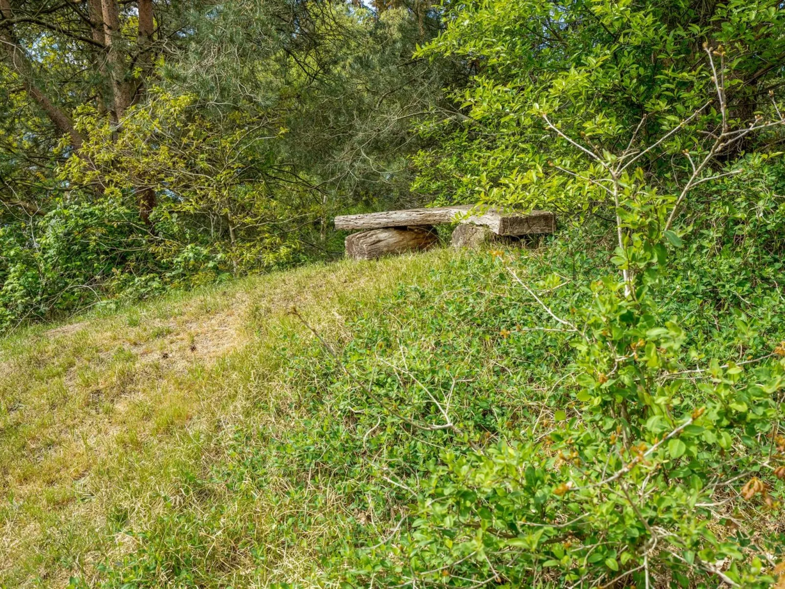 "Livni" - 3.8km from the sea-Buiten