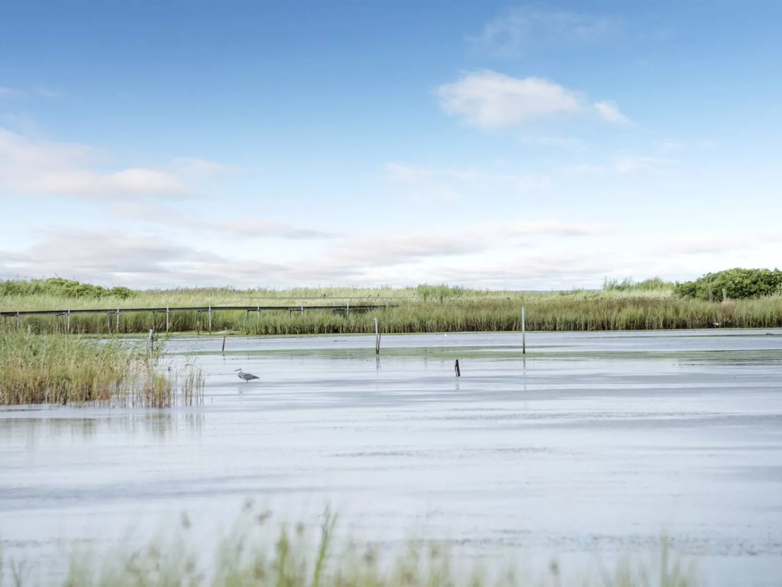 "Stamen" - 200m from the sea-Buiten