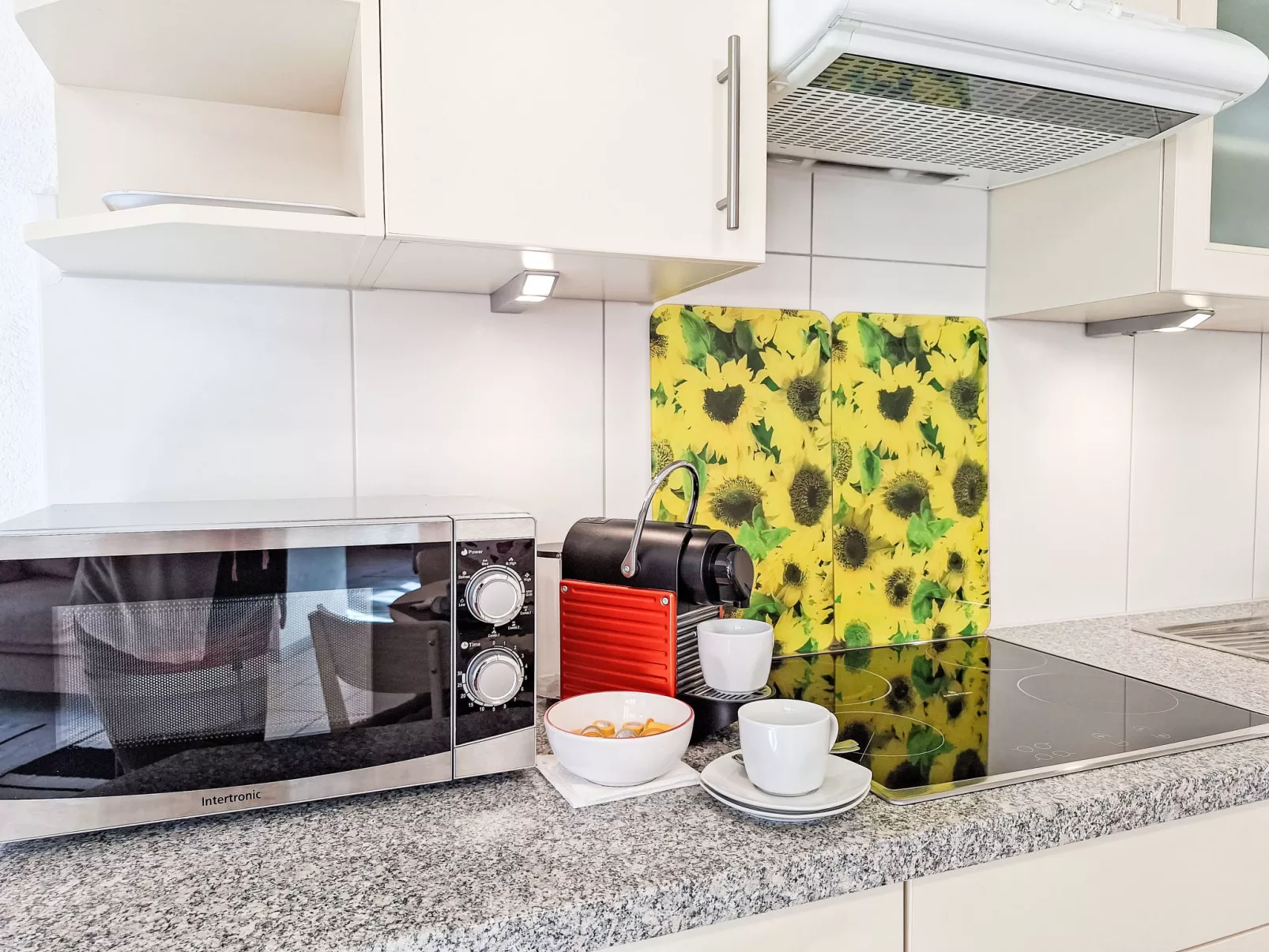 Am Brienzersee-Binnen