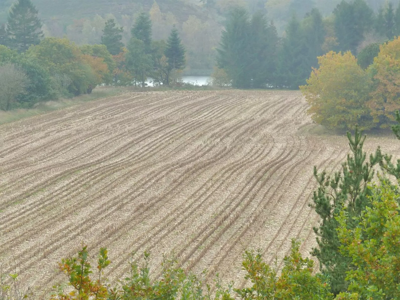 "Piia" - 800m from the sea-Buiten