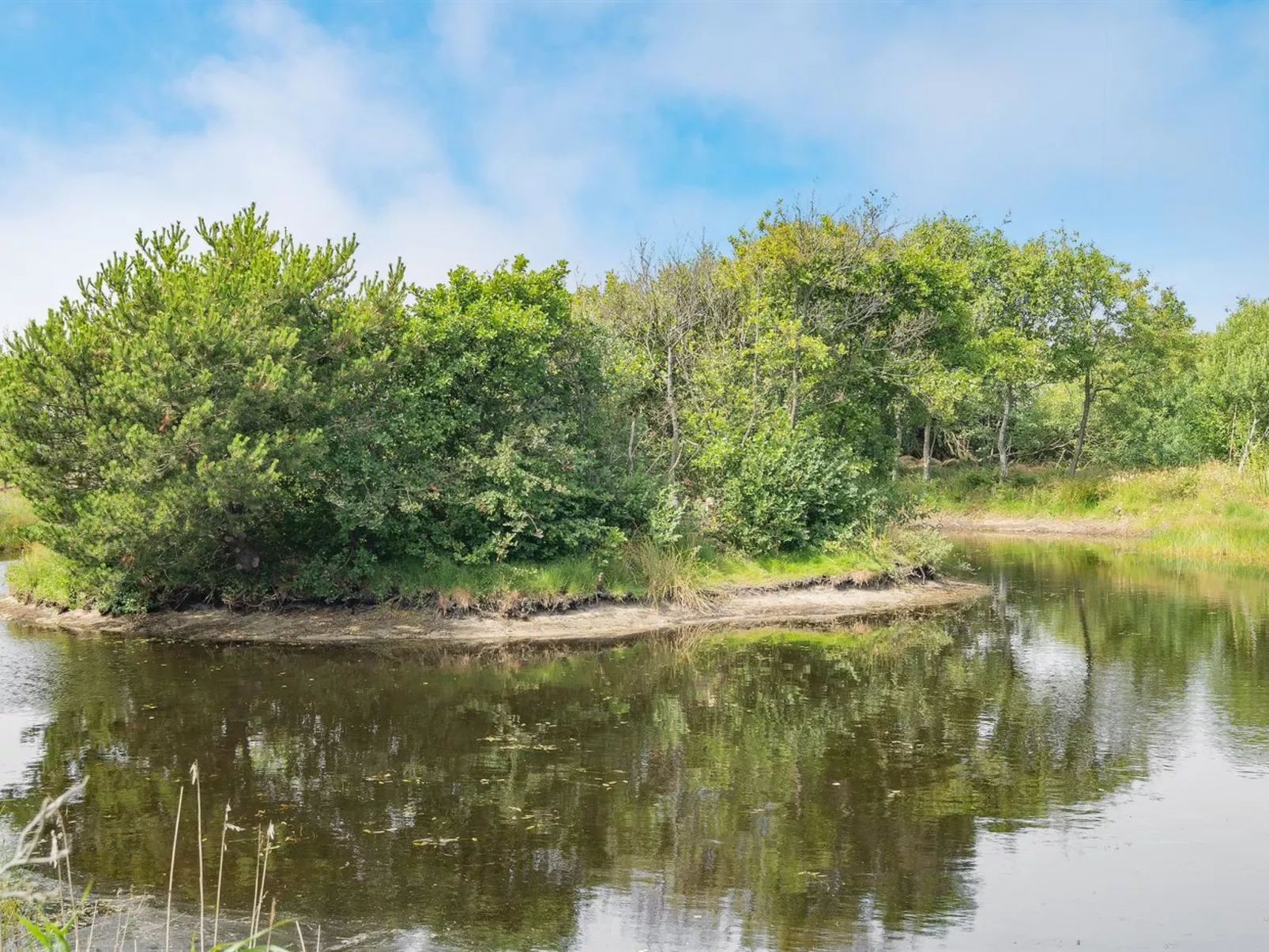 "Frigga" - 400m from the sea-Binnen