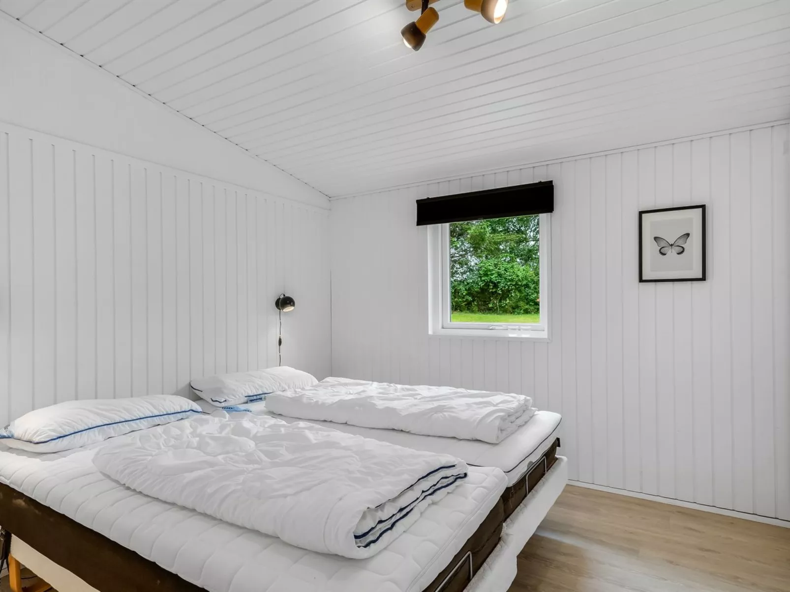 "Elmira" - 555m from the sea-Binnen