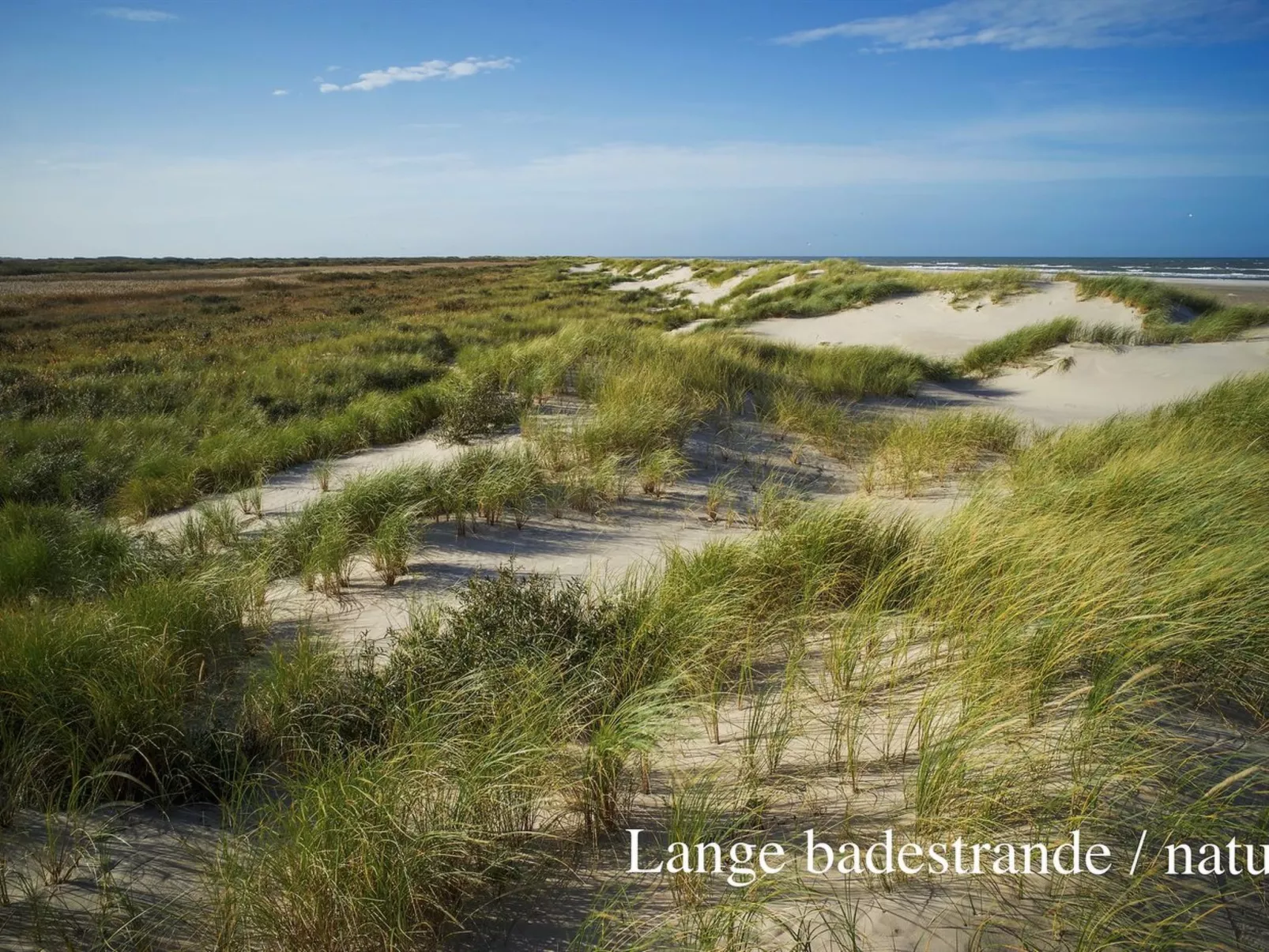 "Elle" - 50m from the sea-Buiten