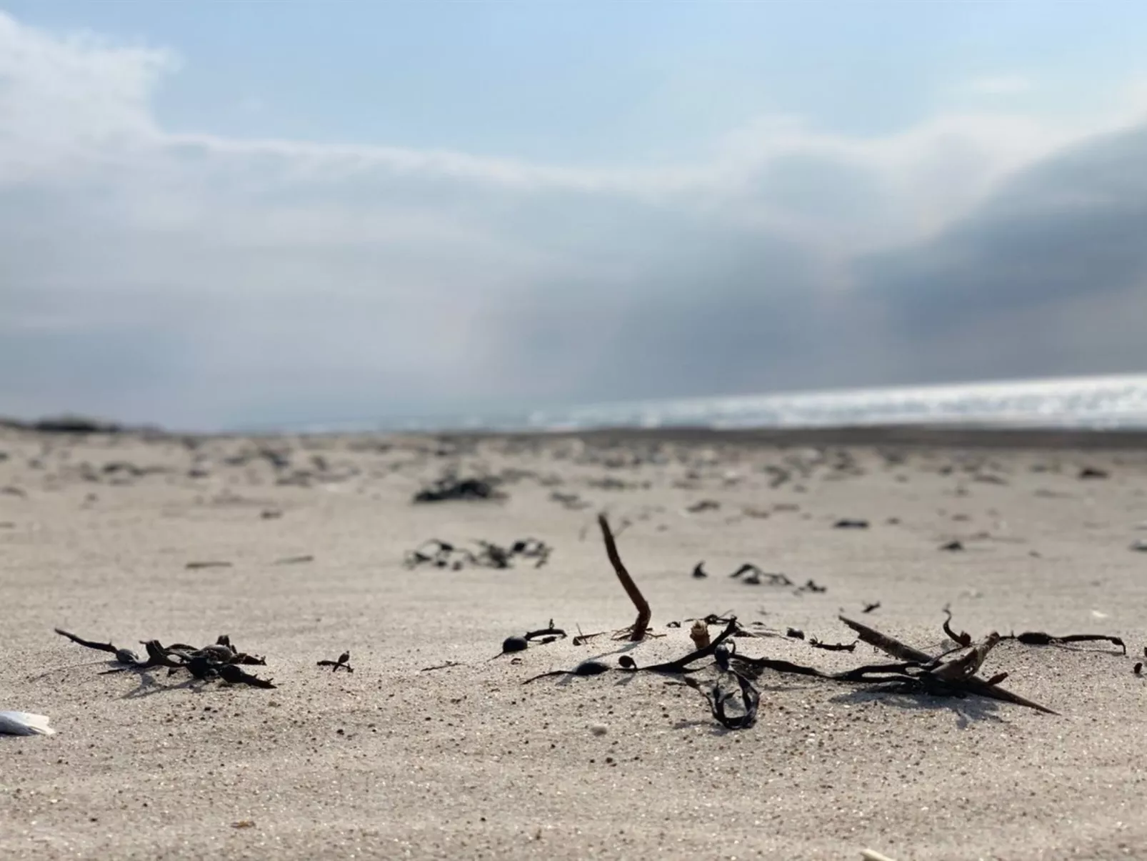 "Durita" - 600m to the fjord-Buiten